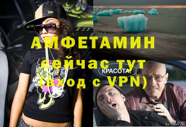 амф Пересвет