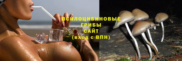 амф Пересвет