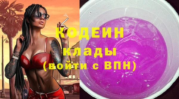 амф Пересвет