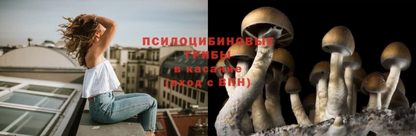 амф Пересвет
