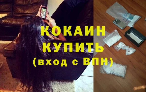 амф Пересвет