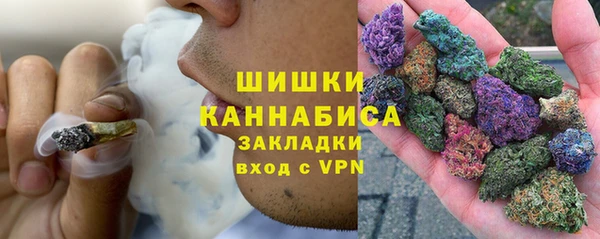 стаф Пестово