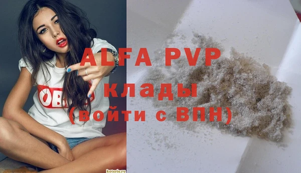 амф Пересвет