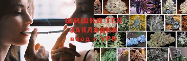 стаф Пестово