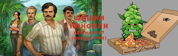индика Барнаул