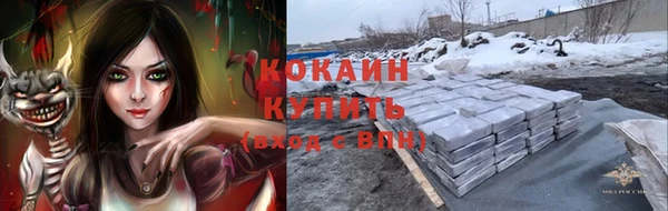 амф Пересвет