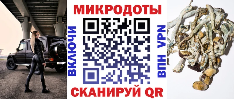 купить закладку  Усть-Катав  Галлюциногенные грибы мицелий 